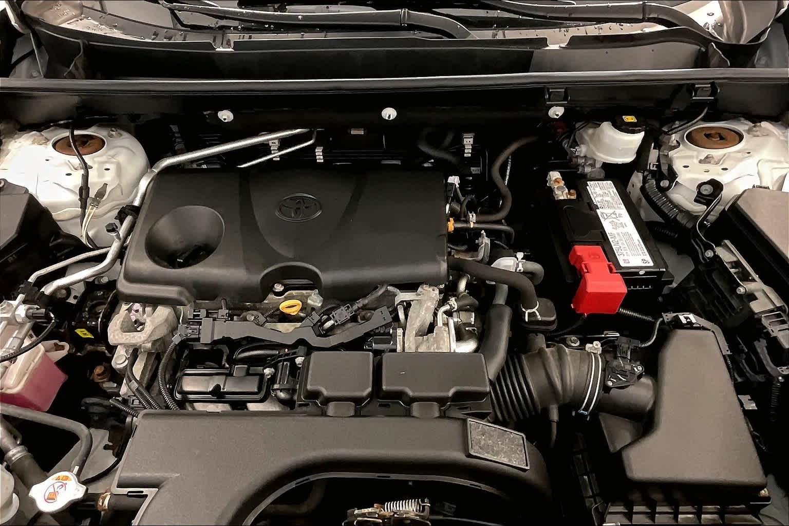 2019 Toyota RAV4 XLE - Photo 25